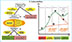 Analyses - Life Cycle