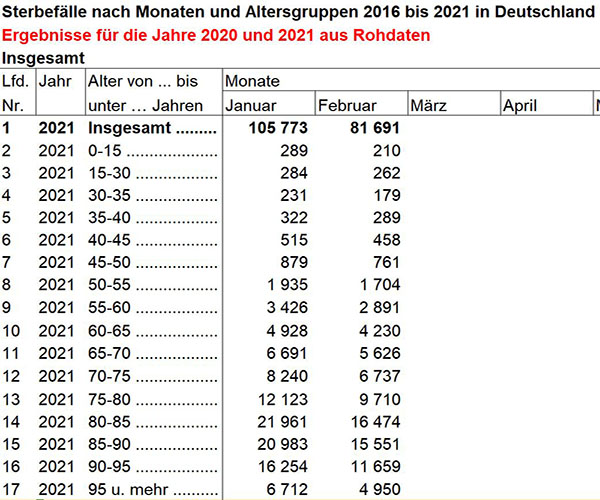 Datenbasis Statistisches Bundesamt