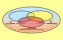 World View - Animation