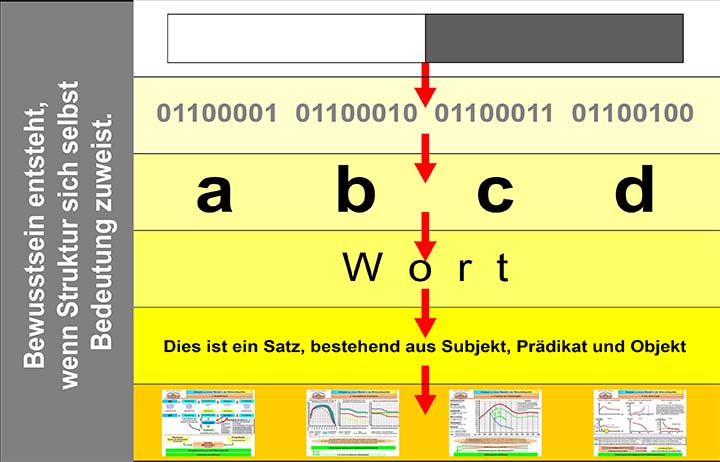 Ebene 2: Eine Studie - Modell